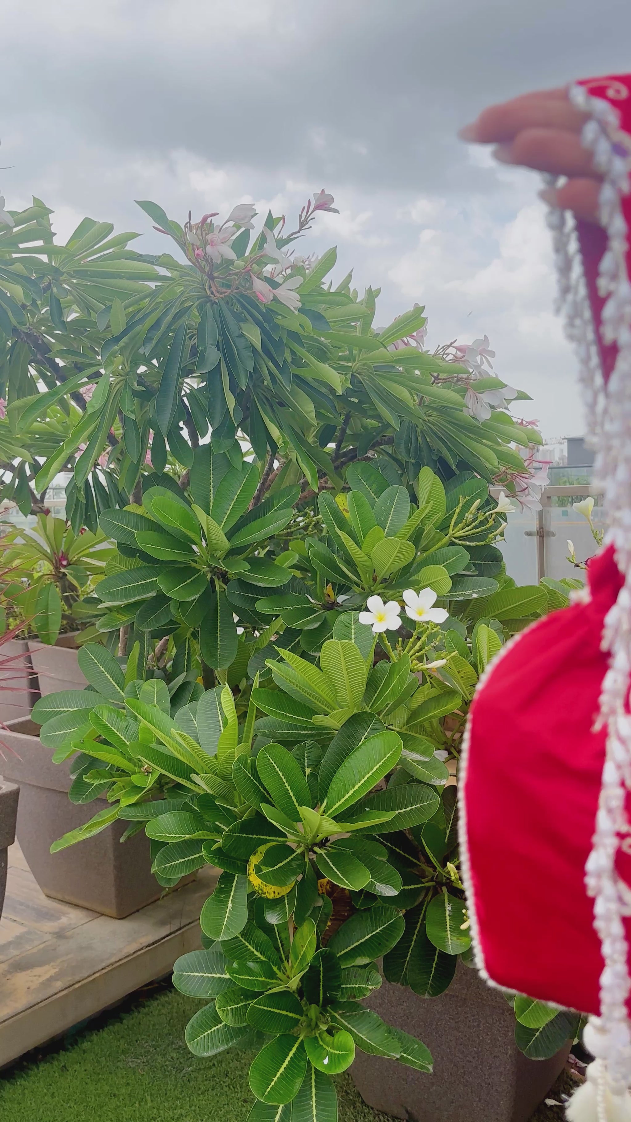 Parizaad Potli with Strap